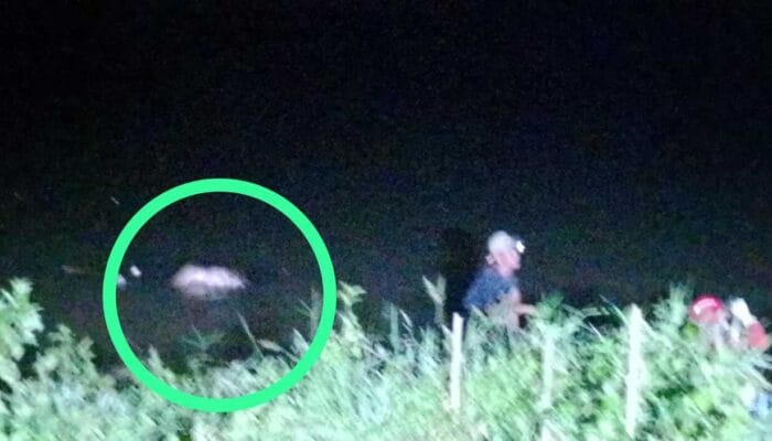 Mayat Mengambang di Sungai Cisokan Cianjur Hebohkan Warga
