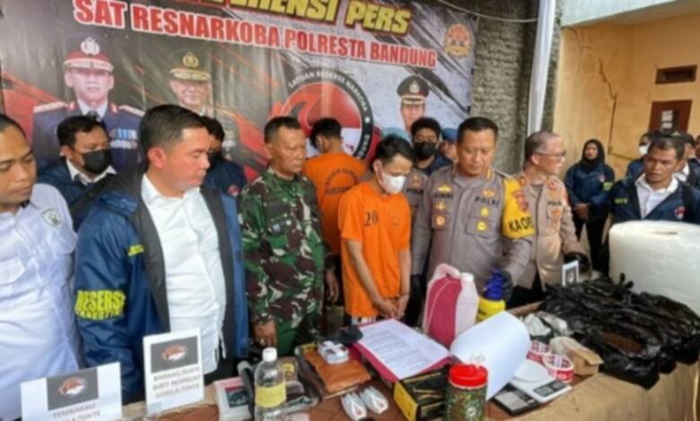 2 Orang Pembuat Tembakau Gorila di Kab Bandung Ditangkap