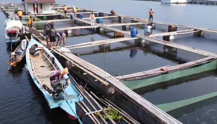 Ikan Air Tawar dari Purwakarta Tak Usah Diragukan