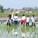 Kang DS Bahagia Atas Bantuan Pertanian untuk Petani di Kab Bandung