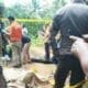 Sadis Bro! Suami di Ciamis Mutilasi Sang Istri
