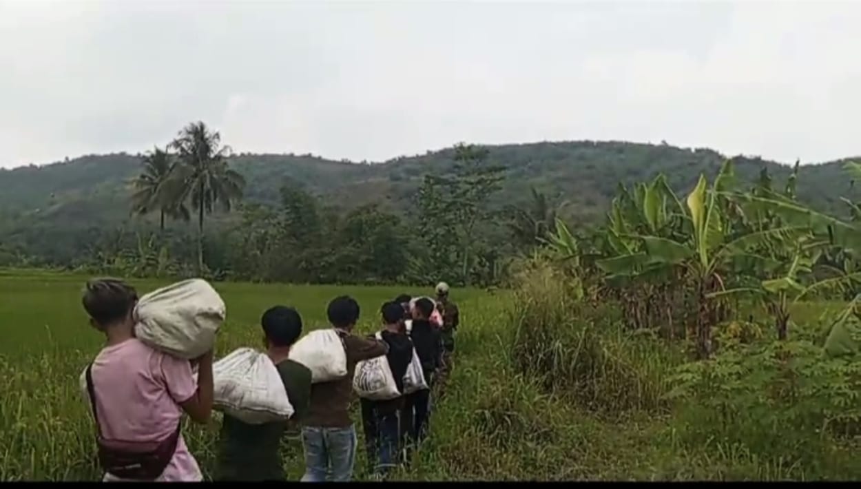 JSI Regional Sukabumi Lepas Liarkan 7 Ular Sanca Kembang Ke Habitatnya