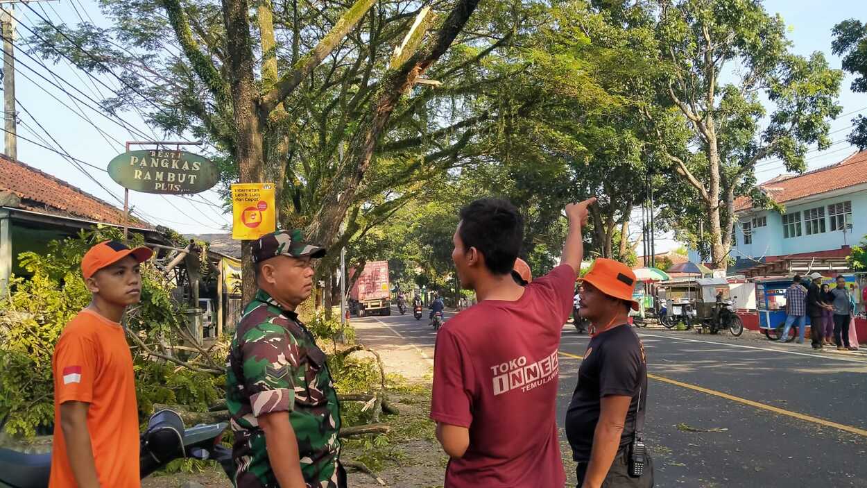 Truk Kontainer Babat Dahan Pohon di Cianjur, 1 Orang Terluka