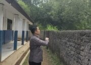 Ulat Bulu Serang Siswa SMPN 2 Bojongpicung Cianjur