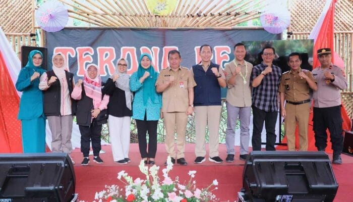 Desa Sukatani di Purwakarta Jempolan, Kenapa ?