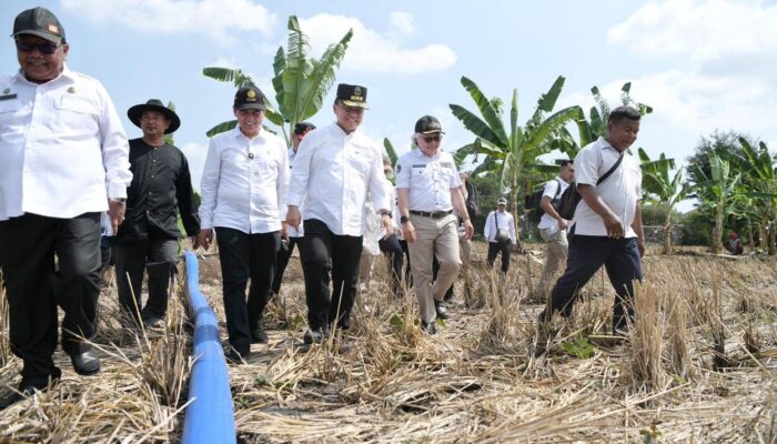 Jabar Kejar Target Gabah Kering Sebanyak 11 Juta Ton