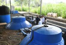 PLTS - Biogas Hadir di Kabupaten Kuningan Jabar