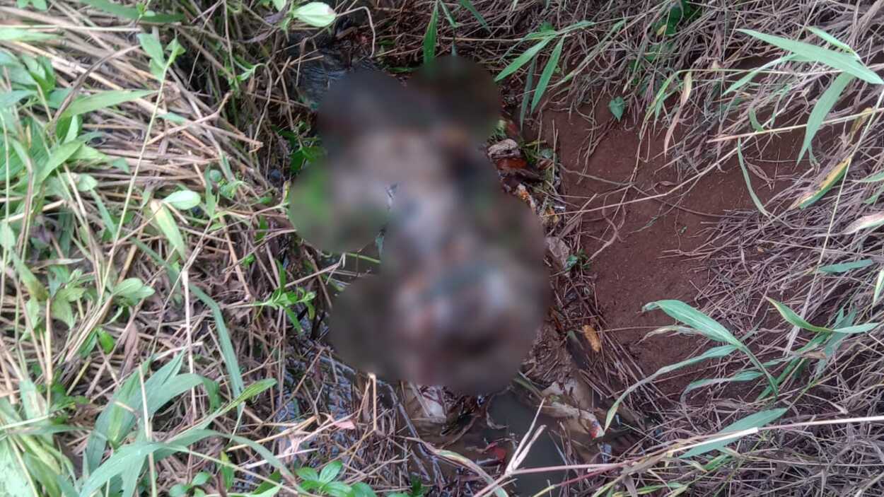 Warga Cibadak Sukabumi Dihebohkan Dengan Penemuan Mayat Membusuk & Tanpa Busana
