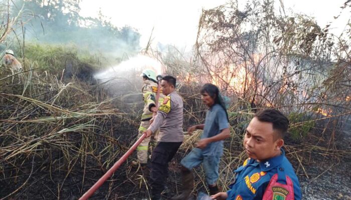 Lahan Kosong di Klari Kabupaten Karawang Kebakaran