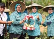 Siti Chomzah Monev Lomba PKK Tingkat Kabupaten Bogor