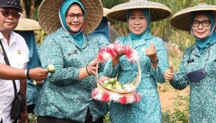 Siti Chomzah Monev Lomba PKK Tingkat Kabupaten Bogor