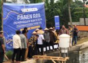 Lakukan Panen Raya, Wamen Kominfo RI: Teknologi Iot eFishery Tingkatkan Efisiensi Budidaya Ikan di Sukabumi