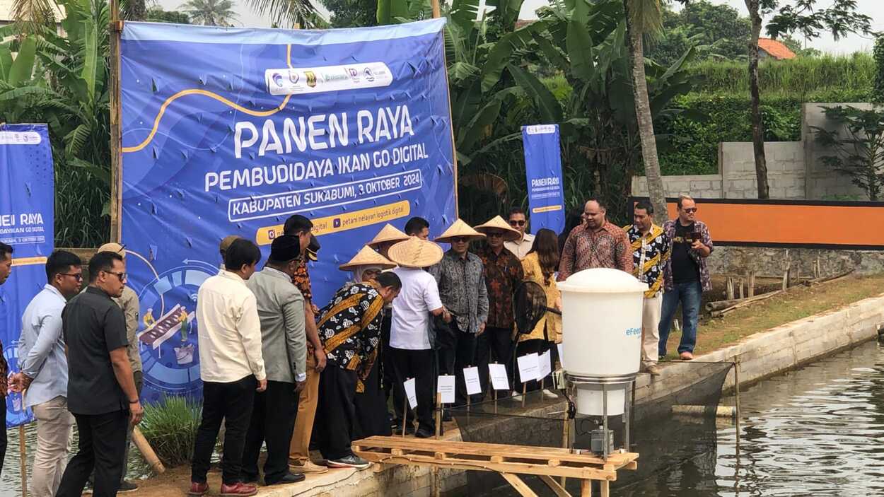 Lakukan Panen Raya, Wamen Kominfo RI: Teknologi Iot eFishery Tingkatkan Efisiensi Budidaya Ikan di Sukabumi