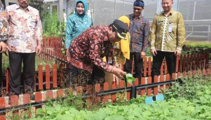 Saung Inflasi Pemkab Bogor Resmi Meluncur