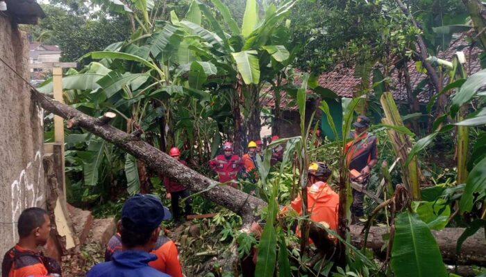 Waspada! Cuaca Ekstrem di Sukabumi Akibatkan 12 Kecamatan Ditiup Puting Beliung & Longsor