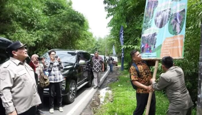 Baliho Tak Berizin di Kabupaten Bogor Dibongkar