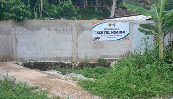 Desa Sentul Bogor Tengah Jalankan Program Peternakan