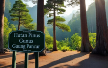 Menikmati Ketenangan Alam di Hutan Pinus Gunung Pancar Sentul, Wisata yang Menyegarkan Pikiran