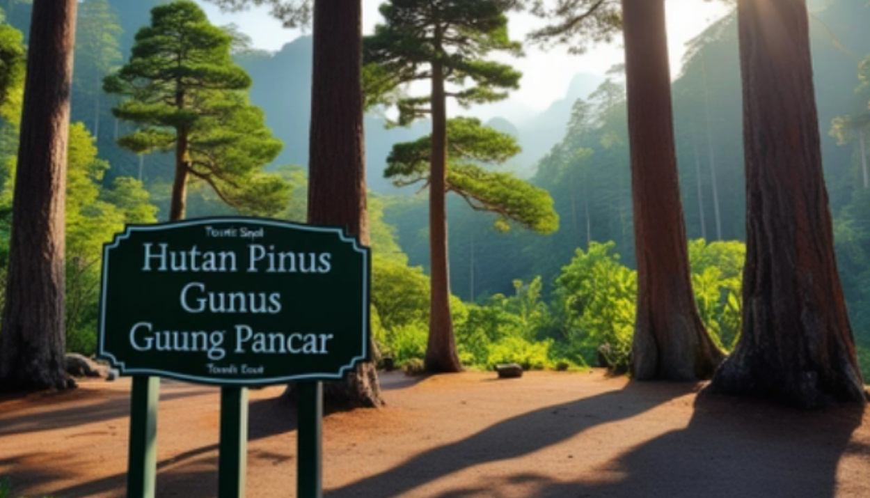 Menikmati Ketenangan Alam di Hutan Pinus Gunung Pancar Sentul, Wisata yang Menyegarkan Pikiran