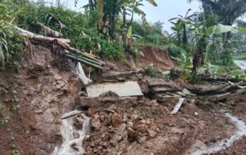 Akibat Tanah Longsor, Saluran Irigasi Pesawahan di Cikidang Alami Rusak Berat