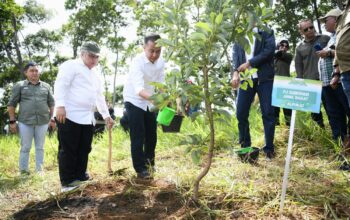 Bey Machmudin Tanam 25.000 Bibit Pohon di Cianjur