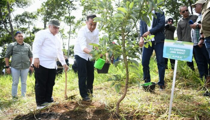 Bey Machmudin Tanam 25.000 Bibit Pohon di Cianjur