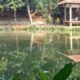 Taman Lembah Gurame_ Tempat Rekreasi Keluarga yang Sejuk di Tengah Kota Depok_(instagram_@triasyunara)