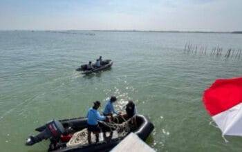 Bareskrim Polri Ungkap Fakta Kasus Pagar Laut Tangerang, Tersangka Baru Akan Terungkap