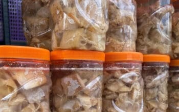 Manday, Kuliner Unik dari Kulit Cempedak Khas Kalimantan Selatan