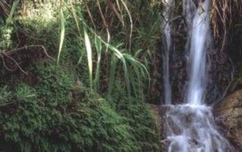 Menikmati Pesona Alam di Curug Ciherang, Bogor