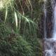 Menikmati Pesona Alam di Curug Ciherang, Bogor