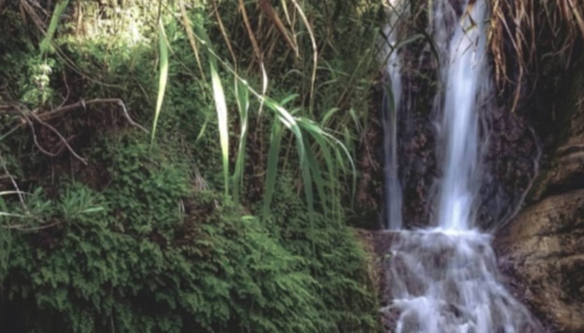 Menikmati Pesona Alam di Curug Ciherang, Bogor