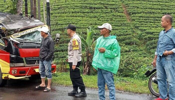 Mobil Elf Umum Tertimpa Pohon di Cianjur, 2 Orang Terluka