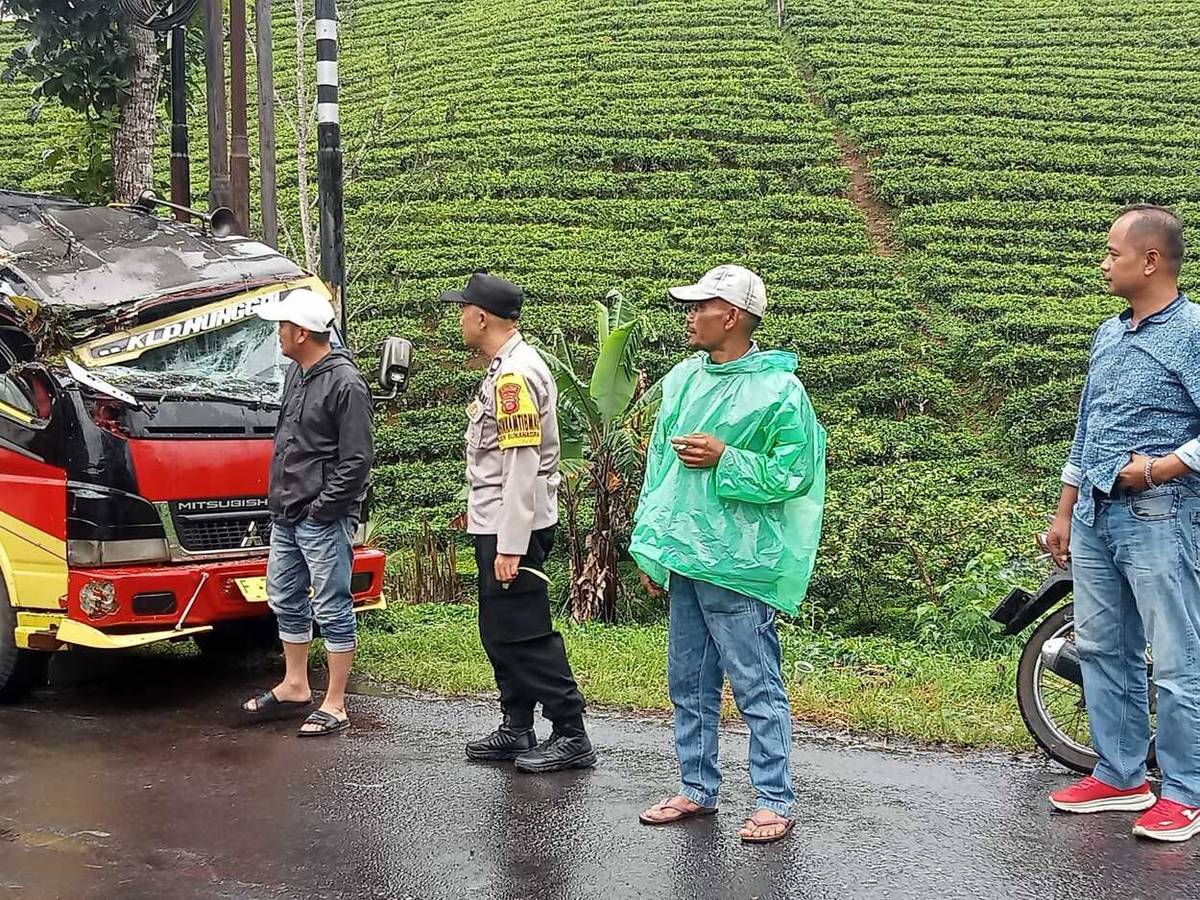 Mobil Elf Umum Tertimpa Pohon di Cianjur, 2 Orang Terluka