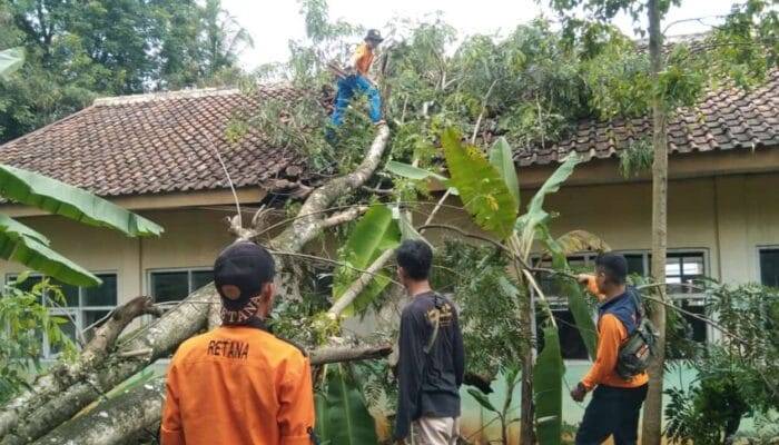 SDN Sindangjaya 3 Cianjur Ambyar Tertimpa Pohon