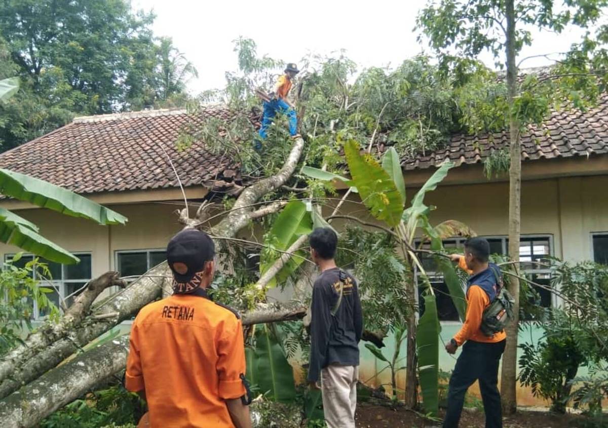 SDN Sindangjaya 3 Cianjur Ambyar Tertimpa Pohon