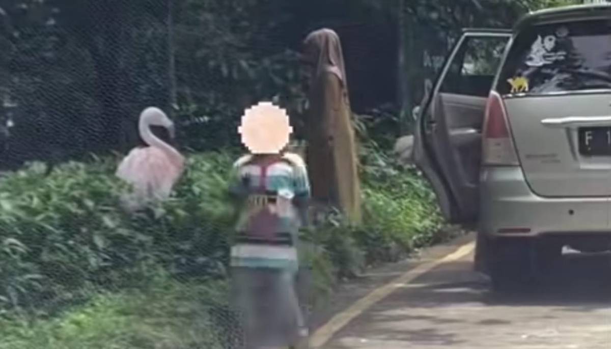 Viral Video Pengunjung Turun dari Mobil di Taman Safari Indonesia