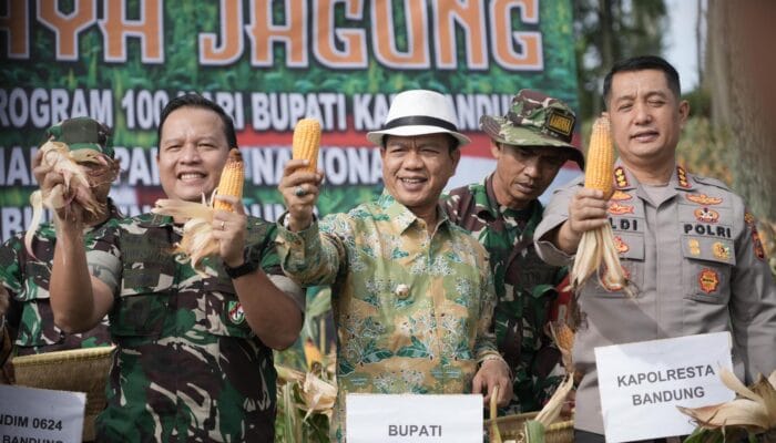 Bupati Bandung Panen Raya Jagung di Lahan UNPAD Arjasari