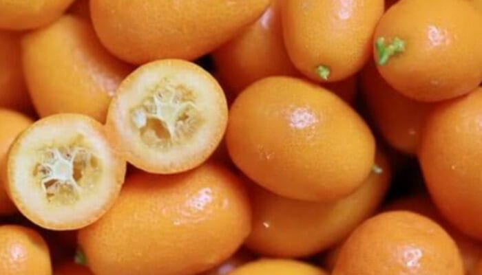 Kumquat: Buah Sitrat Super Segudang Manfaat Kesehatan