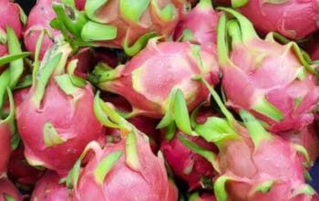 Buah Naga jadi Sumber Kesehatan Jantung