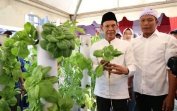 Kampung Hidroponik jadi Tonggak baru Perkuat Ketahanan Pangan dan Pelestarian Lingkungan di Kabupaten Bogor