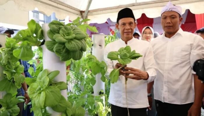 Kampung Hidroponik jadi Tonggak baru Perkuat Ketahanan Pangan dan Pelestarian Lingkungan di Kabupaten Bogor 