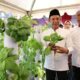 Kampung Hidroponik jadi Tonggak baru Perkuat Ketahanan Pangan dan Pelestarian Lingkungan di Kabupaten Bogor