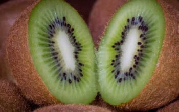 Kiwi jadi Buah dengan Serat Tinggi dan Beragam Vitamin