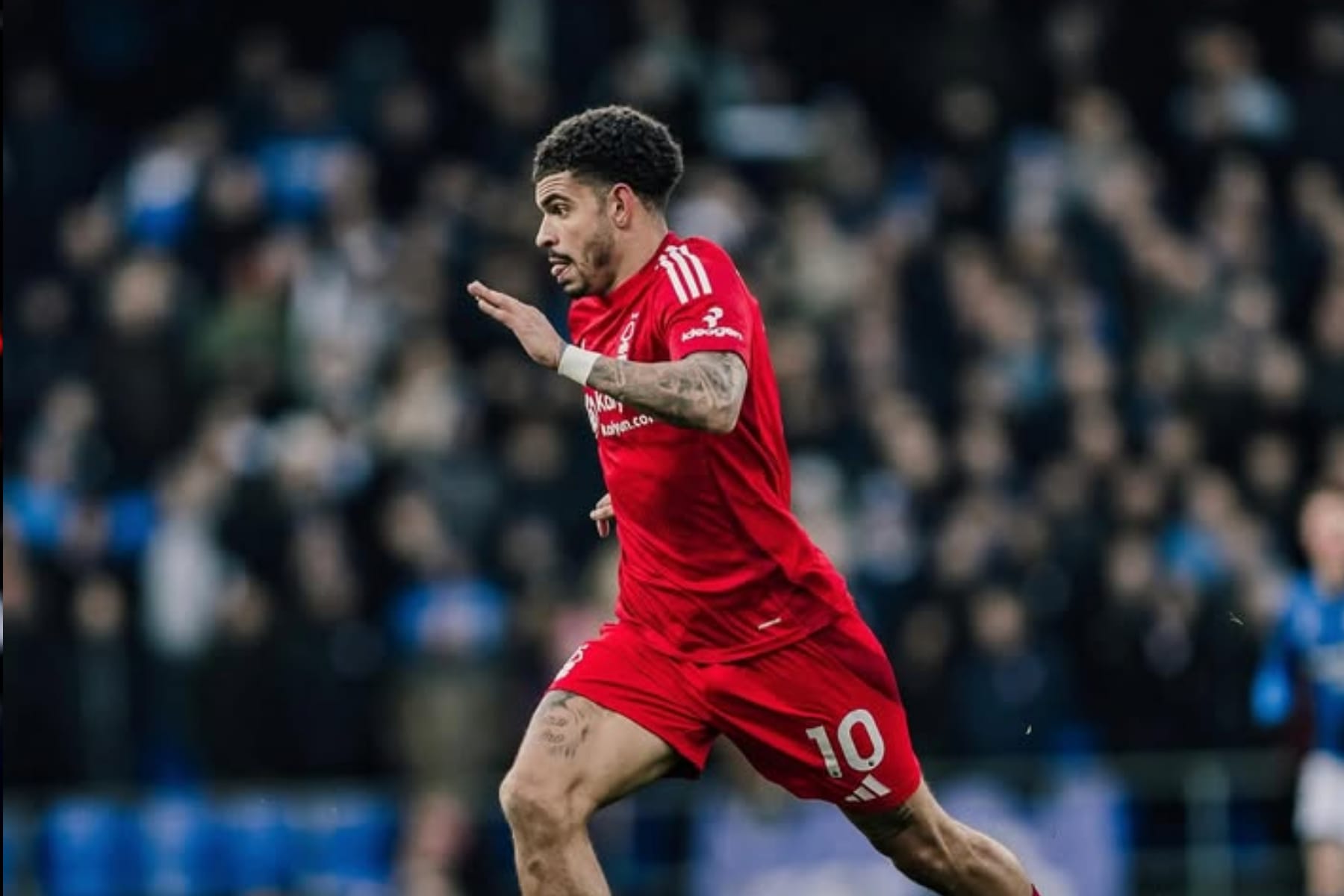 Manchester City Lirik Morgan Gibbs-White