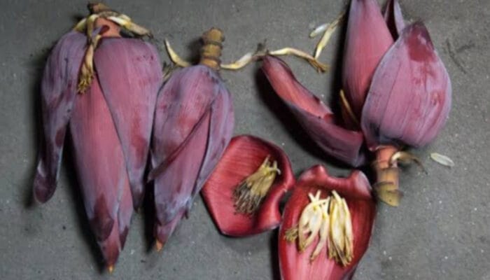 Manfaat Jantung Pisang untuk Kesehatan Seorang Ibu