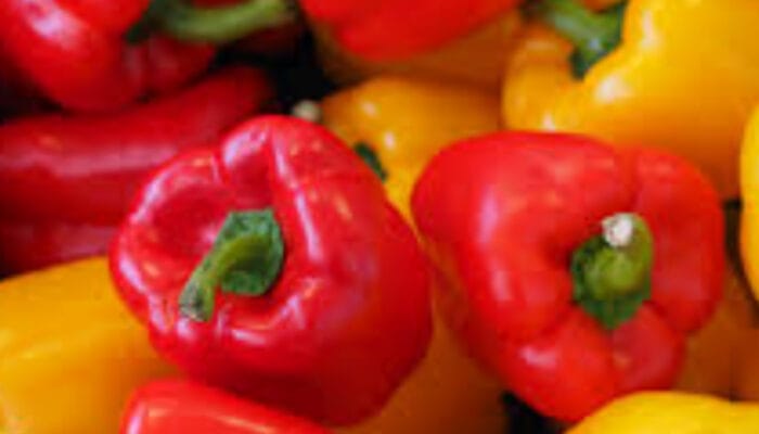 Manfaat Paprika, Rahasia Vitamin C Tinggi untuk Daya Tahan Tubuh