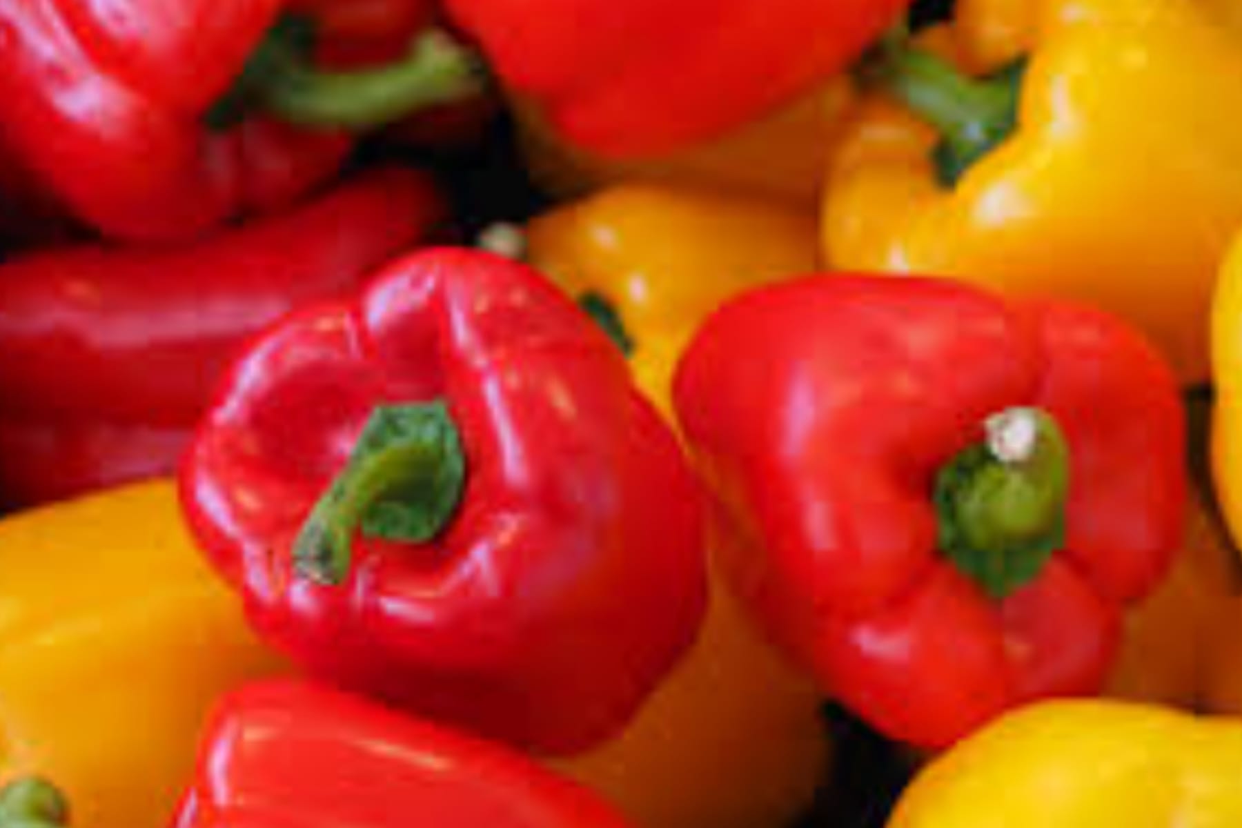 Manfaat Paprika, Rahasia Vitamin C Tinggi untuk Daya Tahan Tubuh