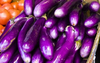 Manfaat Terong untuk Kesehatan Jantung dan Pencernaan