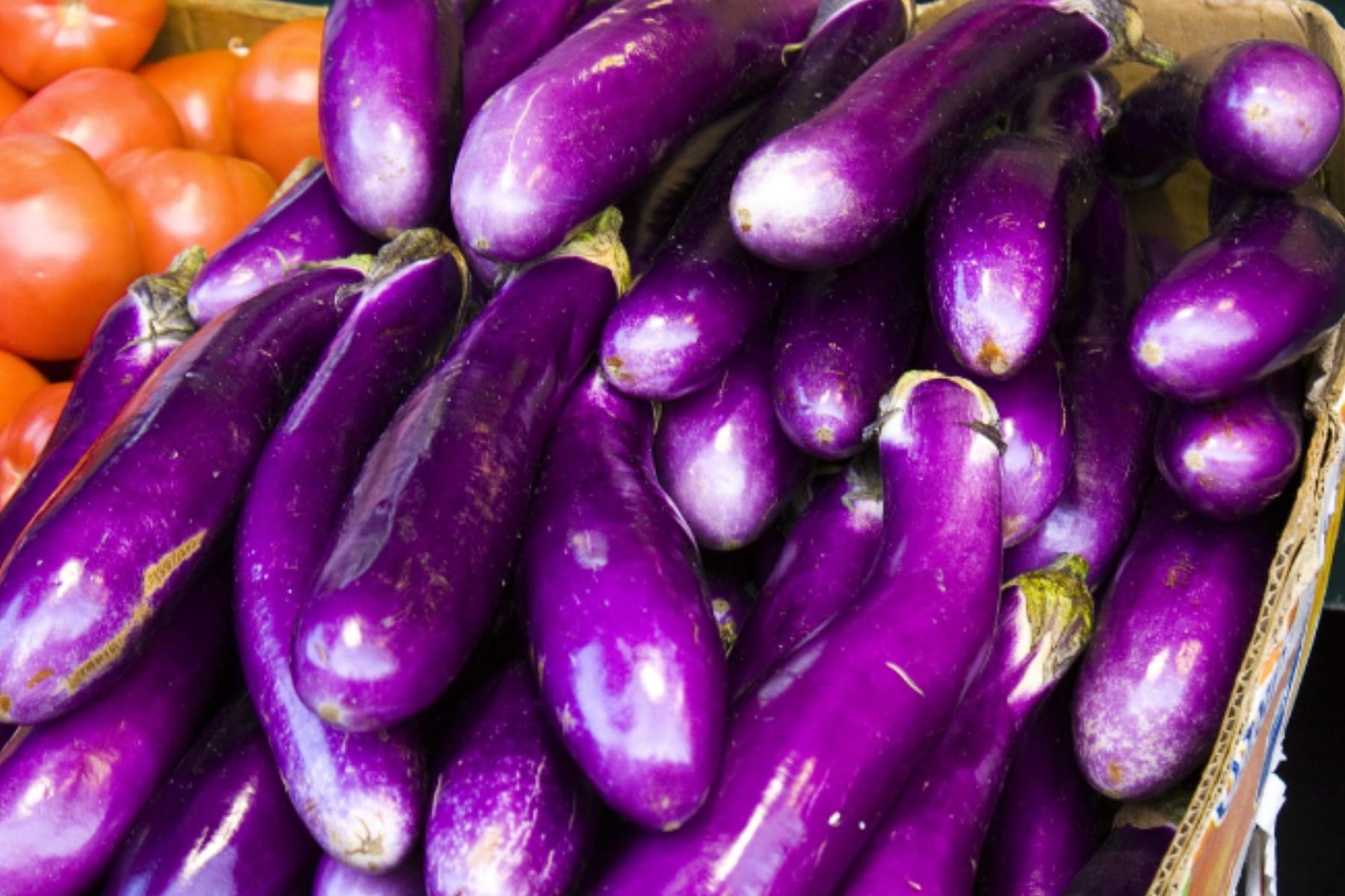 Manfaat Terong untuk Kesehatan Jantung dan Pencernaan